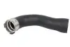 Шланг інтеркулера FIAT TIPO 1.4/1.4LPG 03.16-10.20 Thermotec (DCF107TT) зображення 1