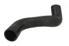 Шланг інтеркулера CITROEN C8 FIAT ULYSSE LANCIA PHEDRA PEUGEOT 807 2.0D/2.2D 05.99 Thermotec (DCF149TT) зображення 1