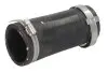 Шлангопровод Thermotec (DCG122TT) изображение 1