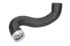 Шланг інтеркулера (чорн) MERCEDES GLK (X204) 2.2D 12.08-06.15 Thermotec (DCM058TT) зображення 1