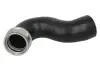 Фото Автозапчасть Thermotec (DCM120TT) изображение 1