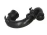 Фото Шланг інтеркулера (Зі сторони двигуна, в зборі) RENAULT CLIO II, KANGOO 1.5D 06.01 Thermotec (DCR066TT) зображення 1