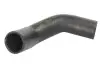 Фото Шланг інтеркулера (Випускна сторона, короткий) RENAULT CLIO II, KANGOO, KANGOO EXPRESS 1.5D 08.04 Thermotec (DCR246TT) зображення 1