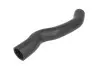 Фото Шланг інтеркулера Прав VOLVO C30, S40 II, V50 FORD FOCUS III 1.6D/2.0D 01.10-06.14 Thermotec (DCV007TT) зображення 1