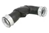 Шланг інтеркулера SEAT LEON, TOLEDO I, TOLEDO II, TOLEDO III VW BORA, BORA I, GOLF IV 1.9D 08.95-12.10 Thermotec (DCW172TT) зображення 1