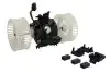 Фото Вентилятор салону BMW 5 (E60), 5 (E61), 6 (E63), 6 (E64) 2.0-5.0 12.01-12.10 Thermotec (DDB012TT) зображення 2