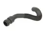 Патрубок нагрівача RENAULT CLIO II, KANGOO 1.5D 06.01 Thermotec (DNR006TT) зображення 1