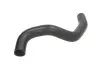 Шланг гумовий системи охолодження Нижн HYUNDAI GETZ 1.3/1.4/1.6 09.02-12.10 Thermotec (DW0517TT) зображення 1