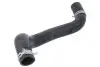 Фото Шланг гумовий системи охолодження Нижн HYUNDAI I30 1.6D/2.0D 10.07-06.12 Thermotec (DW0527TT) зображення 1