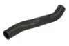 Шланг гумовий системи охолодження Верх HYUNDAI ACCENT II 1.5D 04.02-11.05 Thermotec (DW0533TT) зображення 1