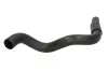 Фото Шланг гумовий системи охолодження Нижн HYUNDAI TUCSON KIA SPORTAGE II 2.0 08.04-01.12 Thermotec (DW0537TT) зображення 1