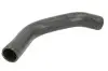 Шланг гумовий системи охолодження Верх HYUNDAI ACCENT IV, I20 I KIA RIO III 1.4/1.6 09.08 Thermotec (DW0547TT) зображення 1