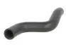 Фото Шланг гумовий системи охолодження Верх NISSAN ALMERA II, PRIMERA 1.5/1.6/1.8 01.00-10.08 Thermotec (DW1002TT) зображення 1