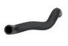 Фото Шланг гумовий системи охолодження Нижн MAZDA 323 C V, 323 F V, 323 P V, 323 S V 1.5 07.94-09.98 Thermotec (DW3014TT) зображення 1