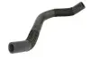 Шланг гумовий системи охолодження Нижн MITSUBISHI PAJERO II, PAJERO III, PAJERO IV 3.2D 04.00 Thermotec (DW5001TT) зображення 1