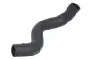 Шланг гумовий системи охолодження Нижн MITSUBISHI L200 2.5D 01.96-12.07 Thermotec (DW5008TT) зображення 1