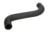 Фото Шланг гумовий системи охолодження Верх SUBARU FORESTER, IMPREZA, LEGACY IV, OUTBACK, WRX 1.5-2.5 09.03 Thermotec (DW7001TT) зображення 1