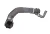 Шланг гумовий системи охолодження Нижн BMW X5 (E53) 3.0D 04.01-09.06 Thermotec (DWB048TT) зображення 1