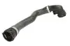 Шланг гумовий системи охолодження передн Прав BMW X5 (E53) 4.4/4.6 01.00-09.03 Thermotec (DWB059TT) зображення 1