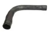 Шланг гумовий системи охолодження Верх BMW 3 (E36) 1.9 09.95-08.99 Thermotec (DWB092TT) зображення 1