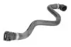 Шланг гумовий системи охолодження Нижн BMW X5 (E53) 4.4/4.6 01.00-09.03 Thermotec (DWB103TT) зображення 1