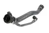 Шланг гумовий системи охолодження Нижн BMW X3 (E83) 2.0D 09.07-12.11 Thermotec (DWB193TT) зображення 1