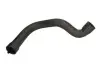 Шланг гумовий системи охолодження Впускна сторона CITROEN JUMPER I PEUGEOT BOXER 2.5D 03.94-04.02 Thermotec (DWC006TT) зображення 1
