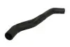 Шланг гумовий системи охолодження Верх ALFA ROMEO GIULIETTA 1.4/1.4LPG 04.10-12.20 Thermotec (DWD029TT) зображення 1