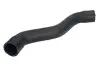 Шланг гумовий системи охолодження Верх FIAT CROMA 1.9D 06.05-12.11 Thermotec (DWF010TT) зображення 1