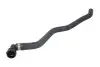 Шланг гумовий системи охолодження Нижн FIAT PANDA 1.1/1.2/1.3D 09.03 Thermotec (DWF229TT) зображення 1