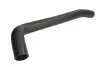Фото Шланг гумовий системи охолодження Нижн FIAT DUCATO 2.3D 12.01-07.06 Thermotec (DWF301TT) зображення 1