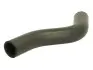 Шланг гумовий системи охолодження FORD TRANSIT 2.2D-3.2D 04.06-08.14 Thermotec (DWG024TT) зображення 1