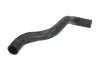 Шланг гумовий системи охолодження Верх FORD FIESTA, FIESTA IV, PUMA 1.25-1.7 08.95-06.02 Thermotec (DWG075TT) зображення 1