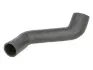 Шланг інтеркулера MERCEDES A (W168) 1.7D 07.98-02.01 Thermotec (DWM053TT) зображення 1