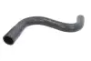 Шланг гумовий системи охолодження Нижн MERCEDES 190 (W201) ABARTH RITMO 2.0/2.0D 04.83-08.93 Thermotec (DWM094TT) зображення 1
