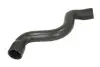 Фото Шланг гумовий системи охолодження MERCEDES E T-MODEL (S210), E (W210) 2.0 08.00-03.03 Thermotec (DWM161TT) зображення 1
