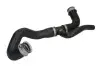 Шланг радіатора Thermotec (DWM172TT) зображення 1