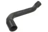 Шланг гумовий системи охолодження Нижн MERCEDES M (W164) 5.0 07.05-12.11 Thermotec (DWM197TT) зображення 1