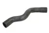 Фото Шланг гумовий системи охолодження Верх RENAULT CLIO II, KANGOO, THALIA I 1.4/1.6 08.97 Thermotec (DWR188TT) зображення 1