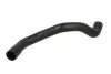 Шланг гумовий системи охолодження Верх RENAULT CLIO II, KANGOO, KANGOO EXPRESS 1.9D 12.99 Thermotec (DWR230TT) зображення 1