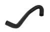 Фото Шланг гумовий системи охолодження AUDI A4 B5, A6 C5 VW PASSAT B5 1.8 10.96-01.05 Thermotec (DWW003TT) зображення 1