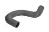 Шланг гумовий системи охолодження Нижн SEAT TOLEDO I VW GOLF II, JETTA I, JETTA II, PASSAT B3/B4 1.5-2.0 08.78-03.99 Thermotec (DWW090TT) зображення 1