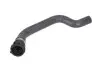 Фото Шланг гумовий системи охолодження Випускна сторона AUDI A3 SKODA OCTAVIA I VW GOLF IV, NEW BEETLE 1.6/2.0 09.96-09.10 Thermotec (DWW151TT) зображення 1