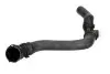 Шланг гумовий системи охолодження Верх AUDI A3 SEAT LEON, TOLEDO II SKODA OCTAVIA I VW BORA, BORA I, GOLF IV 1.9D 09.96-06.06 Thermotec (DWW176TT) зображення 1