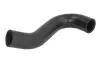 Фото Шланг гумовий системи охолодження Нижн (32мм/32мм) CHEVROLET AVEO / KALOS DAEWOO KALOS SEAT TOLEDO I VW GOLF II, JETTA I, JETTA II 1.4-2.0 08.80 Thermotec (DWW423TT) зображення 1