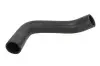 Шланг гумовий системи охолодження Нижн OPEL SIGNUM, VECTRA C, VECTRA C GTS 2.0D/2.2D 04.02-06.08 Thermotec (DWX140TT) зображення 1