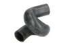 Шланг гумовий системи охолодження Верх OPEL ASTRA F 1.6/1.8/2.0 09.91-03.01 Thermotec (DWX191TT) зображення 1