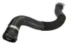 Шланг гумовий системи охолодження Нижн OPEL INSIGNIA A, INSIGNIA A COUNTRY 2.0D 07.08-03.17 Thermotec (DWX249TT) зображення 1