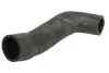 Шланг гумовий системи охолодження OPEL VECTRA C, VECTRA C GTS 1.6 04.02-08.08 Thermotec (DWX281TT) зображення 1