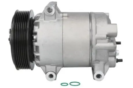 Компрессор кондиционера RENAULT CLIO III, GRAND SCENIC II, MEGANE II, MEGANE II/KOMBI, SCENIC II 1.9D/2.0 11.02- Thermotec KTT090219